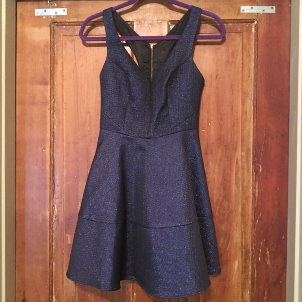 Express Navy Sparkle Skater Dress